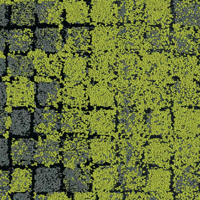 8341004 Onyx/Moss