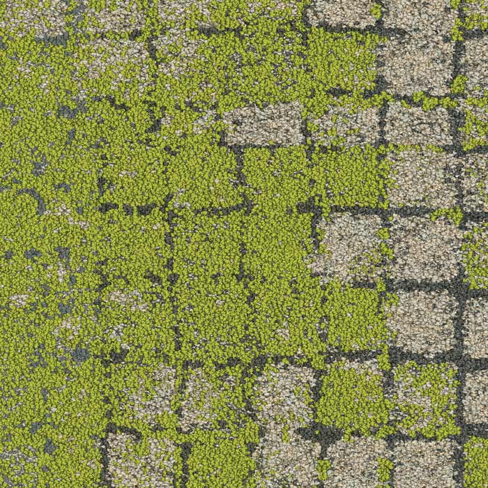 8341001 Granite/Moss