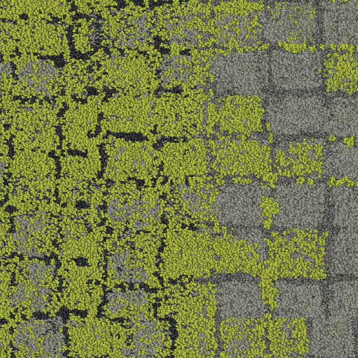 8341003 Flint/Moss