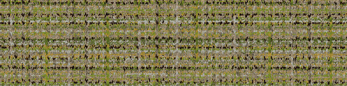 8114007 Glen Weave