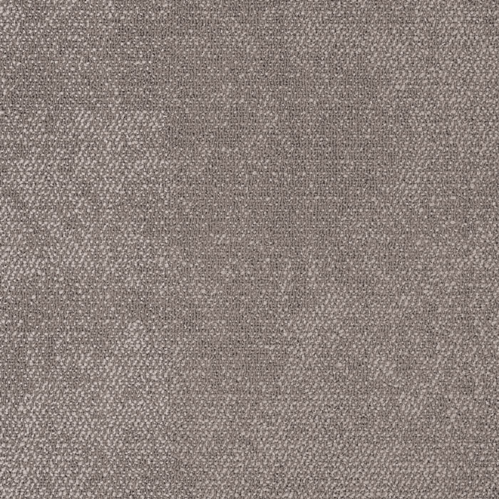 Composure_4169005-Serene.jpg
