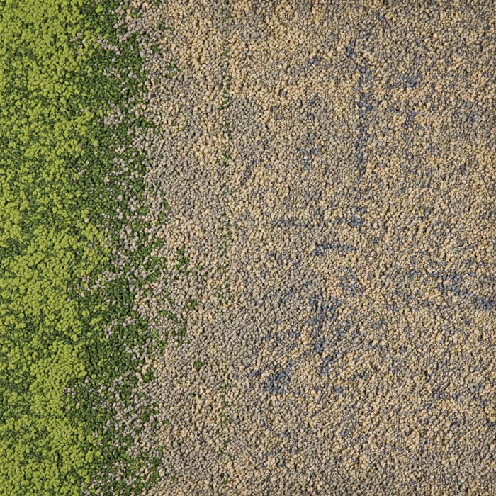 327114 Flax/Grass