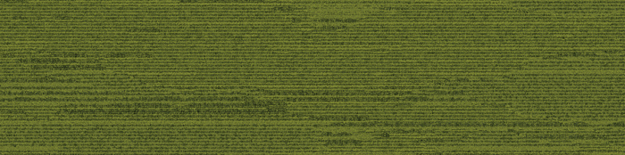 327504 Grass