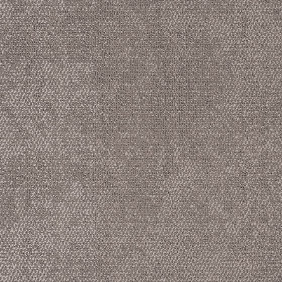 4169005 SERENE