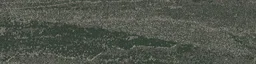 ferris_forest_va6.jpg