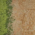 327112 Straw/Grass