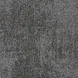 4169007 TRANSCRIBE