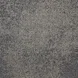 4169021 DELIBERATE