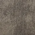 4169009 CONTENT