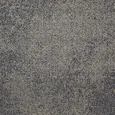 4169021 DELIBERATE